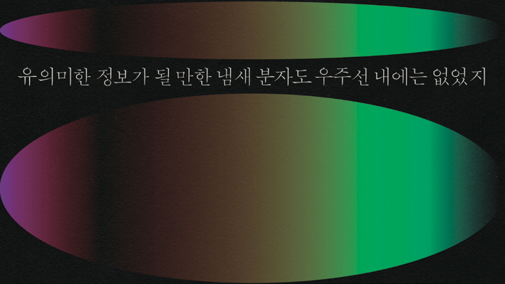 이희정(아페퍼)